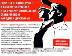 Вступайте в ряды народной дружины " Ванновская"!