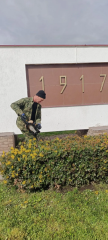 🌳 С заботой о памяти и красоте родного поселения!