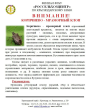 Коричнево-мраморный клоп.
