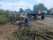 В х. Северокубанском по ул. Луговой ведется выпиливание деревьев.