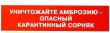 Памятка по борьбе с амброзией ПОЛЫННОЛИСТНОЙ.