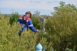Уважаемые жители Ванновского сельского поселения!